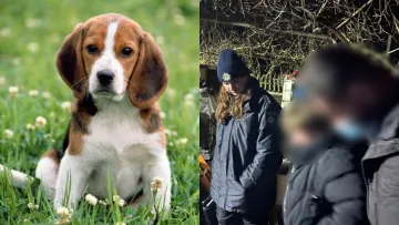 Кримінальний скандал на Одещині: породистих собак тримали серед сміття та бруду