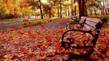 Яка погода завтра, 17 листопада: буде більш вітряно, а дощі можна очікувати лише у окремих регіонах