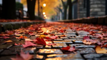 Яка погода завтра, 9 листопада: у неділю українців місцями очікують дощі та хмарність