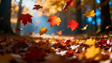 Яка погода завтра, 20 листопада: у четвер на українців очікують холод та місцями дощі