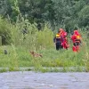 Рятувальники врятували чоловіка, який опинився заблокованим із конем на острові: відео героїчної операції