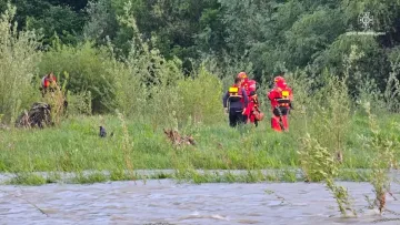 Рятувальники врятували чоловіка, який опинився заблокованим із конем на острові: відео героїчної операції