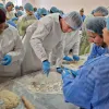 Кулінарний марафон у Кам'янському: у місті встановили національний рекорд з ліплення пельменів