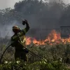 Два популярні курорти, які полюбляють українці, охопили масові пожежі: є загиблі, триває евакуація – що відомо