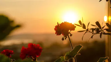 Яка погода завтра, 20 березня: в Україну повертається довгоочікуване потепління