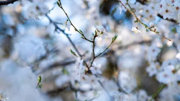 В Україну йде похолодання: яка погода буде завтра, 14 березня