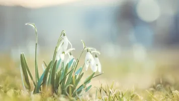 Яка погода завтра, 12 березня: антициклон забезпечить на всій території України сонячну та теплу погоду