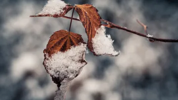 Яка погода завтра, 16 грудня: антициклон Фріда вбереже Україну від опадів у будь-якому вигляді