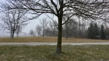 Яка погода завтра, 19 грудня: в Україні синоптична ситуація не зазнає змін – антициклон опадам не сприятиме