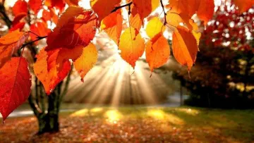 Яка погода завтра, 23 вересня: в Україні буде тепло та сонячно, але в деяких регіонах похолоднішає