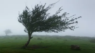 Яка погода завтра, 24 квітня: в Україні утримається холодна погода, у східних областях з дощами й мокрим снігом