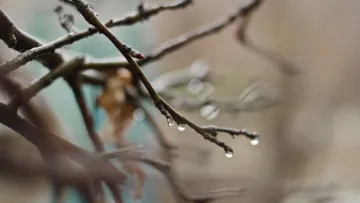 Яка погода завтра, 30 березня: хмари затягнуть небо над Україною – майже у всіх областях дощитиме