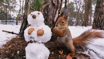 Яка погода завтра, 30 грудня: майже в усіх регіонах України під новий рік очікується суттєве похолодання