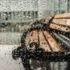 Яка погода завтра, 30 червня: синоптики сказали, де в Україні пройдуть дощі і грози
