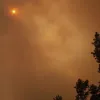 У Чорнобильській зоні палають ліси: чи вдалося бійцям ДСНС локалізувати розповсюдження полум'я