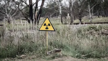 Грибок з Чорнобиля може захистити людей під час польотів у космос: чому вчені зацікавлені новим відкриттям