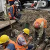 Під час реконструкції теплотраси у Миколаєві врятували дикого звіра: кого комунальники витягли з траншеї