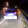 «Три стрілки вгору»: алкотестер зафіксував рекорд у водія Renault Sandero на Київщині