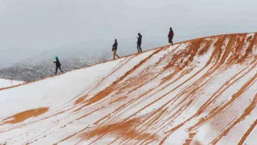 Шок у Сахарі: найбільшу у світі спекотну пустелю неочікувано засипало снігом – фото
