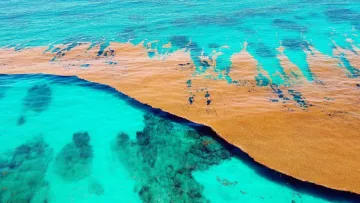 Унікальне море без берегів: вчені пояснили важливість такої природної аномалії для Землі