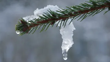 Прогноз погоди на п’ятницю, 13 лютого: синоптик назвав регіони України, у яких буде найтепліше