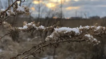 Яка погода завтра, 15 грудня: у понеділок українців очікує незначне потепління