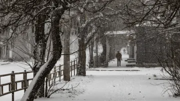 Яка погода завтра, 11 січня: мороз нікуди не подінеться, в окремих областях очікується сніг