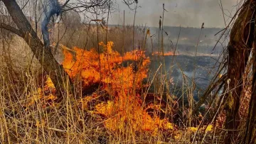 На Львівщині за добу померло троє людей, які хазяйнували на городах – причина однакова: що накоїли селяни