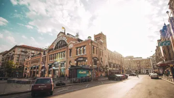 Бо і Брежнєва з собаками, Квітова з мокрою головою: як зустріли ранок понеділка вітчизняні селебриті – фото