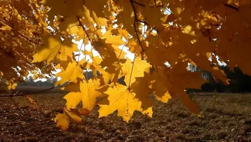 Яка погода завтра, 30 жовтня: українців порадує тепло, подекуди до +18 градусів