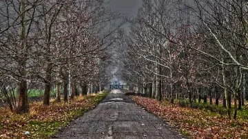 Яка погода завтра, 5 грудня: висока температура та відсутність опадів збережуться, але подекуди буде вітряно