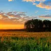 Яка погода завтра, 5 травня: на території України буде подекуди до 30 градусів тепла – чи прогнозуються дощі
