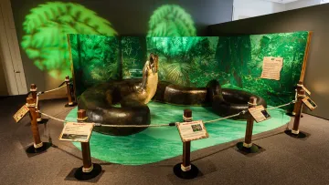 Важили тонну та їли китів: які змії панували на Землі до появи людини