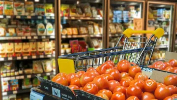 Вже дорожчі за курятину: томати в Україні б’ють цінові рекорди – в чому причина і скільки нині коштує кілограм