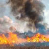 На Закарпатті жінка прибирала подвір'я та згоріла живцем: господиня порушила правила безпеки