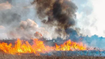 На Закарпатті жінка прибирала подвір'я та згоріла живцем: господиня порушила правила безпеки