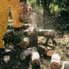 В Києві хочуть знищити 35 тисяч дерев: столичні активісти б'ють на сполох