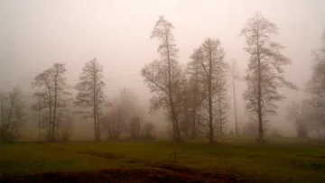 Яка погода завтра, 8 листопада: у суботу в Україні очікуються тумани, але дощі малоймовірні