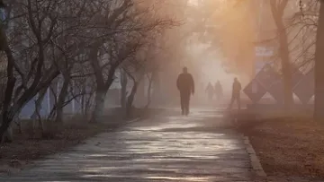 Яка погода завтра, 11 грудня: температура залишиться плюсовою, подекуди тумани і дощі