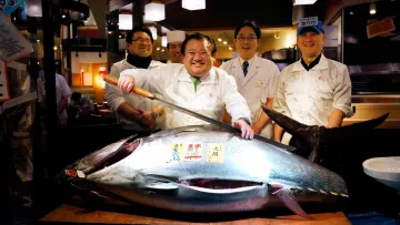 Історичний аукціон у Токіо: гігантського блакитного тунця продали за понад півмільярда