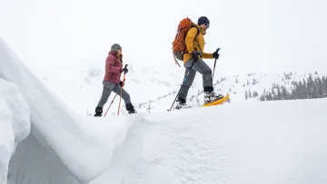 У Карпатах на групу туристів зійшла лавина: чи всім лижникам вдалося лишитися неушкодженими
