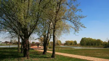 Яка погода завтра, 17 березня: подекуди буде прохолодно і розпочнуться дощі