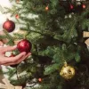Секрет, який врятує новорічну ялинку від швидкого осипання: потрібно зробити лише одне