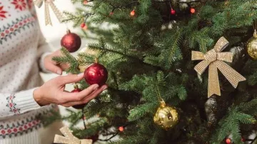 Секрет, який врятує новорічну ялинку від швидкого осипання: потрібно зробити лише одне
