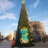 Ялинка в Києві у 2025 році: коли розпочнеться підготовка і відбудеться відкриття головного символу Нового року