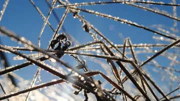 В Україні різко похолоднішає: синоптикиня сказала, коли очікувати заморозки у вересні