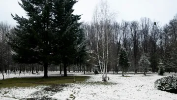 Прогноз погоди на завтра, 31 січня: синоптикиня попередила, чого очікувати українцям у суботу