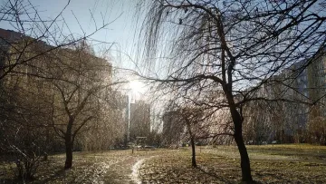 Синоптики розвінчали очікування: коли українцям не варто чекати на снігопади