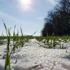 Кінець сніжним зимам, які знаємо з дитинства? Клімат в Україні скоро зміниться на більш теплий