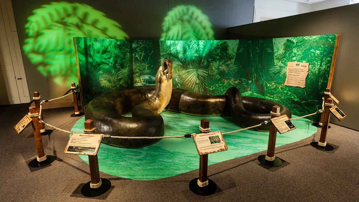 Важили тонну та їли китів: які змії панували на Землі до появи людини